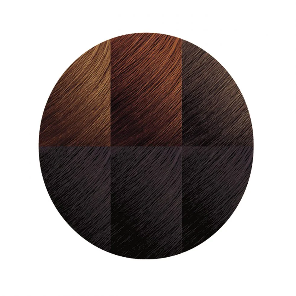 Exotic Shine™ Color with Argan Oil from Morocco 3.0 Soft Black - Image 3
